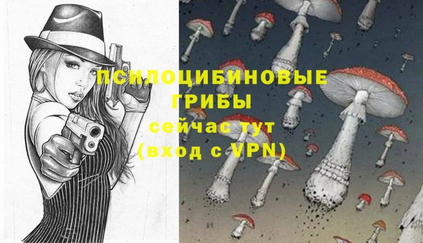 прущий лед Няндома
