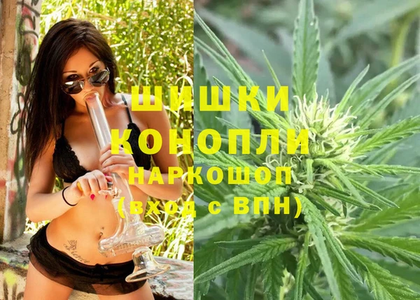 PSILOCYBIN Остров